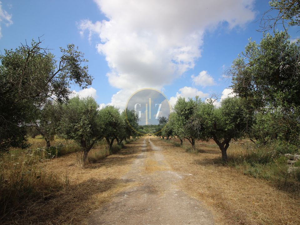 Herregård i Calimera, Lecce - bilde 1
